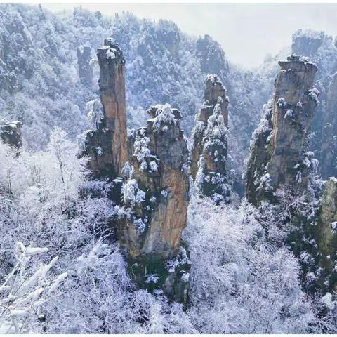 天公作美，我拍到了张家界近十年来最美的雪景！