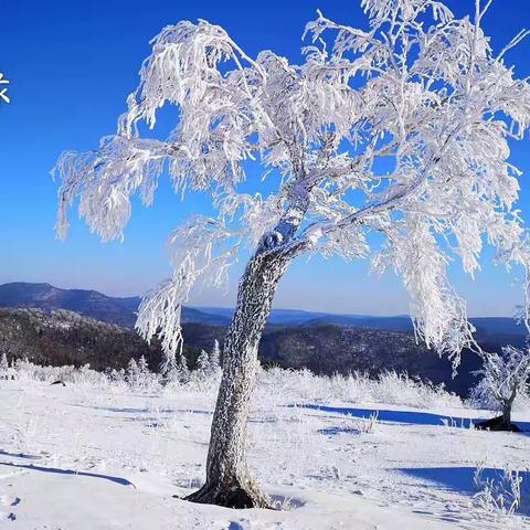 2019冰雪奇缘记