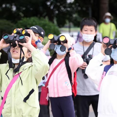 探寻城央鸟类天堂—花都湖国家湿地公园之寻鸟迹活动回顾