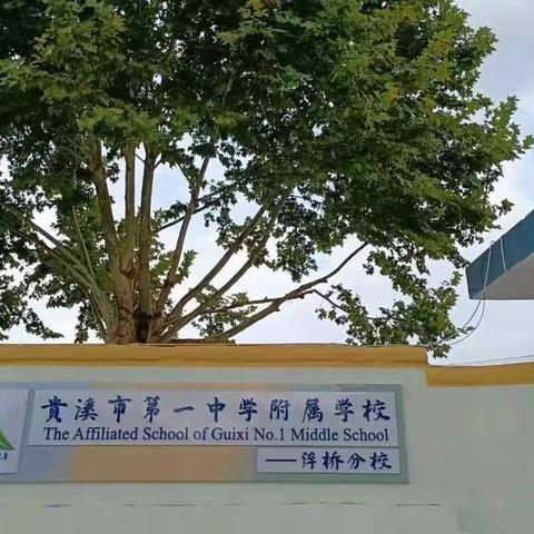 《幼小衔接，我们在行动》金贝贝幼儿园走进小学初体验