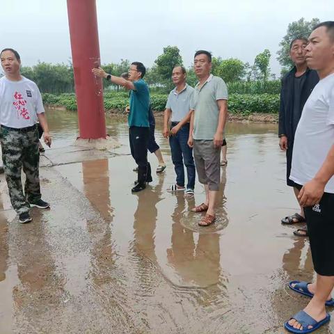 简单快乐的美篇