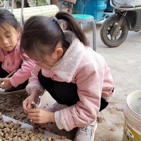 付村小学“宅家计划”之运动与劳动打卡篇