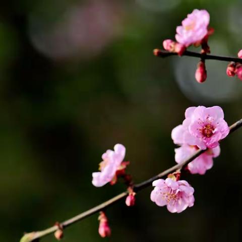 根植沃土    静待花开