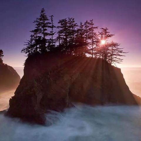 走进名师课堂，享受数学的魅力