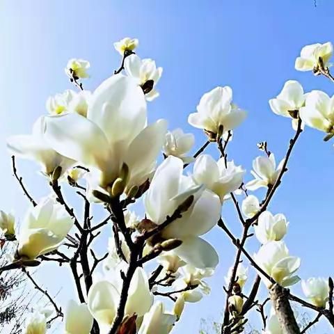 数学学科综合素养测评总结