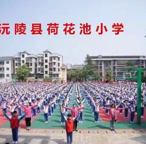 2022年秋沅陵县城区公办学校小学一年级新生招生计划须知❤️❤️