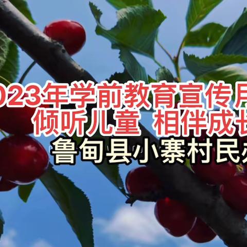 【倾听儿童 相伴成长】鲁甸县小寨村民办幼儿园学前教育宣传月主题视频