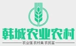 韩城市农业农村局11月2日工作动态