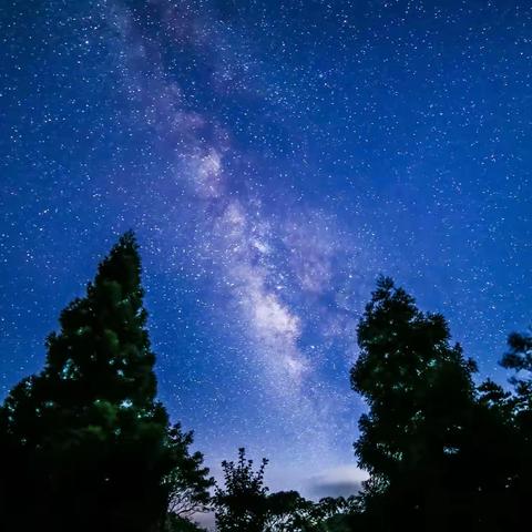 揽金木相合，赴星海之约——乌鲁木齐市第126中学科学组“校园观天”活动