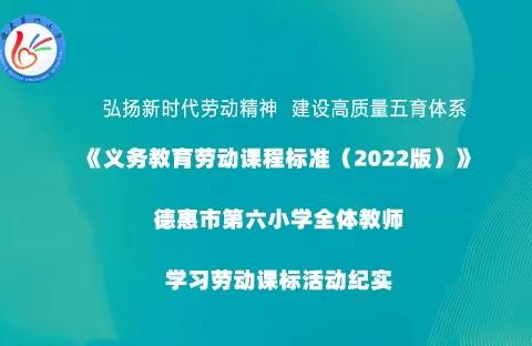 【德惠市第六小学】弘扬新时代劳动精神  建设高质量五育体系 ——全体教师学习劳动课标活动纪实
