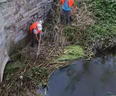 雨后清理河道，保障河道畅通   荷花路街道对河道开展巡查行动