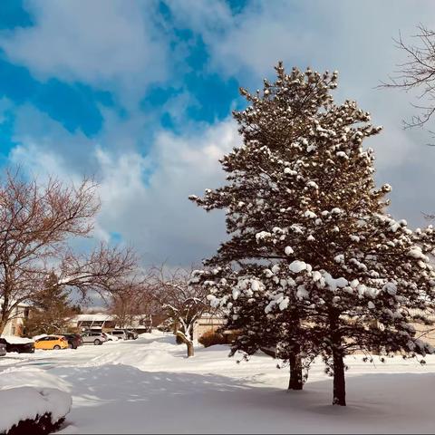 冰天雪地