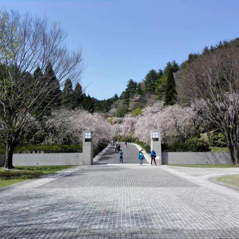 东赢桃花源遊记