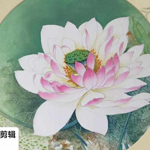 大师班预备期和花鸟篇学习作业剪辑