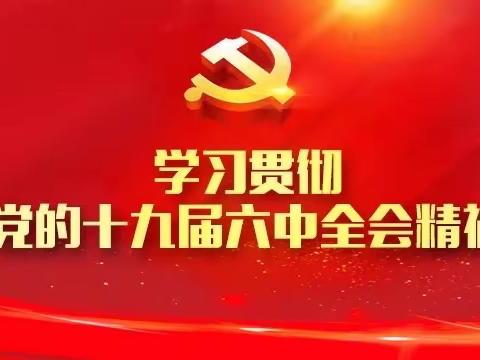 丰城市子龙小学学习贯彻十九届六中全会精神