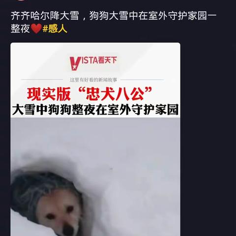 愿我们共同的家园一地球越来越美好