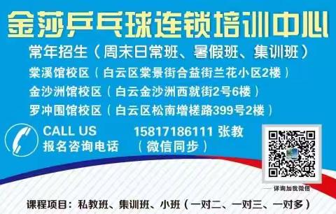 2023年金沙洲、棠溪、罗冲围三校区乒乓球暑假班热招中，报名15817186111张教练