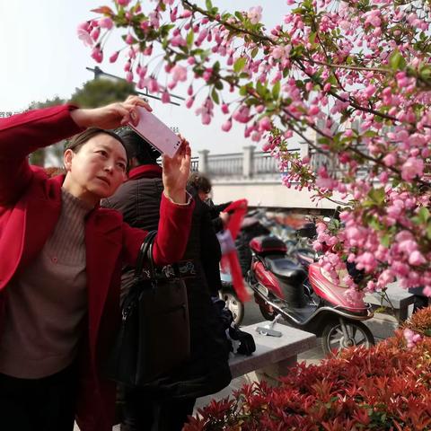循着春天的脚步