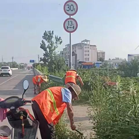 南坞镇 夏日除草正当时，环境整治不放松