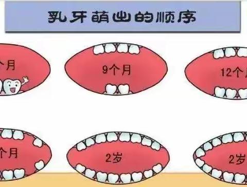 “孩子乳牙蛀了不用管，换完牙就好了？” 这句话坑了多少娃！