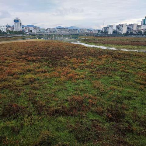 晨练有感