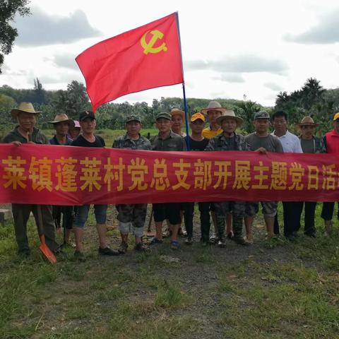 蓬莱镇蓬莱村党总支部组织开展主题党日活动