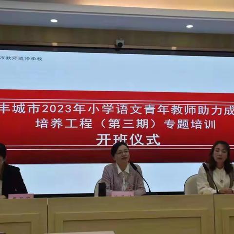 笃行不辍 追光不止——记参加丰城市2023年小学语文青年教师助力成长培养工程(第三期)专题培训