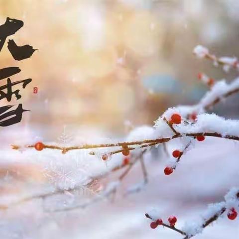 大雪至，寒渐浓——中三班“大雪”节气主题活动