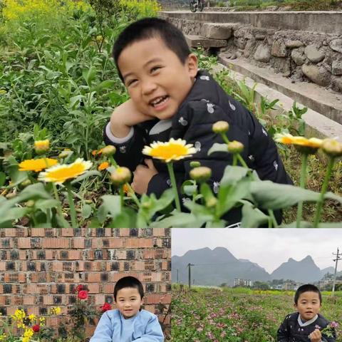 美味青团“育”见美好