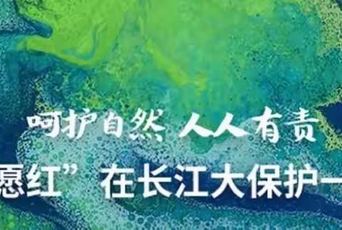 宣传长江大保护，长小学子来助力——国际生物多样性日宣传活动