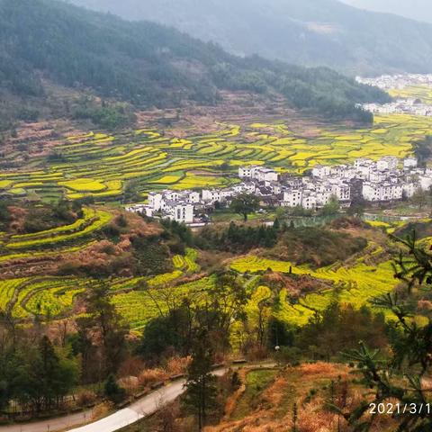 春光无限好，旅游趁来早(上篇)