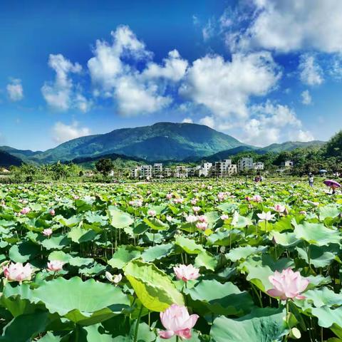 【信宜 • 北逻生态公园】