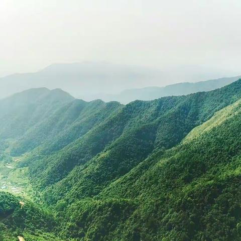 【大美信宜 • 贵子云世村】