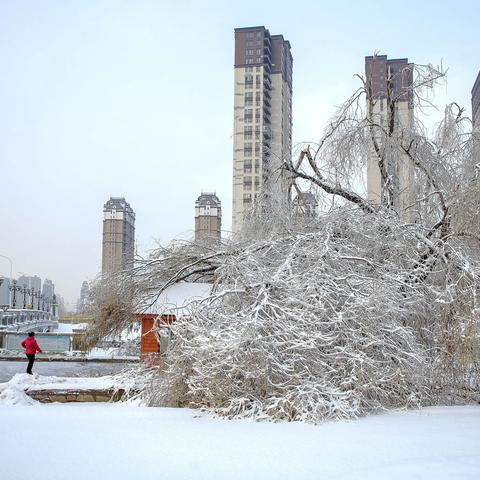 2021冬天的第一场雪