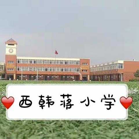 西韩蒋小学英语绘本制作活动