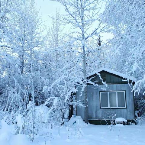 新康花园雪天温馨提示