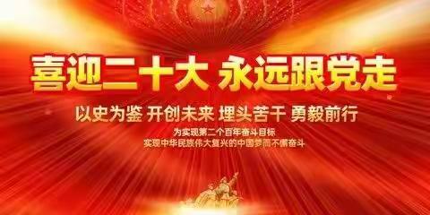 童心永向党，喜迎二十大——林甸县东兴乡中心小学主题教育活动