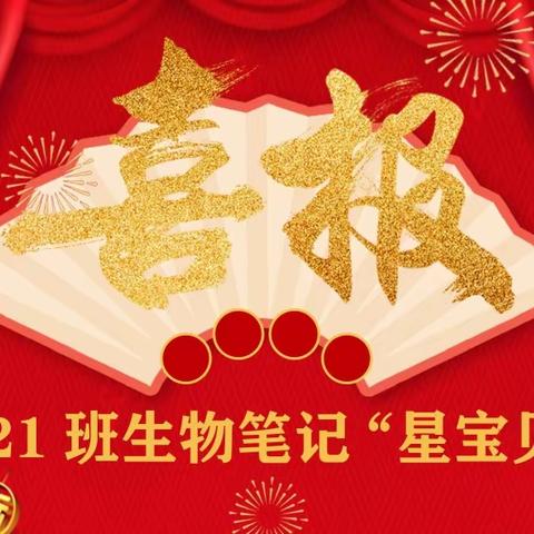 书写最美“笔尖印记”——柳州市第二十五中学理化生教研组优秀笔记展示