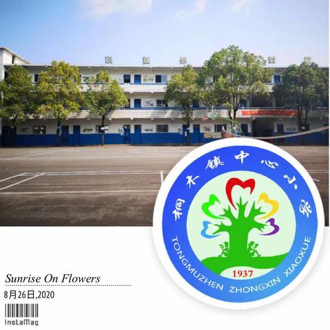 桐木镇中心小学2020-2021学年第一学期期末考试安排