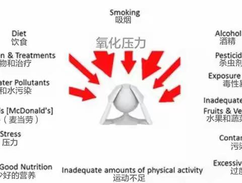 糖尿病的抗氧化治疗