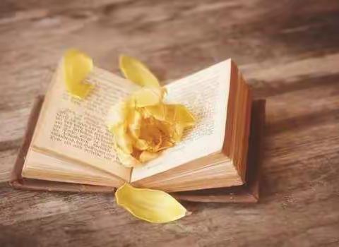 书香致远    筑梦未来