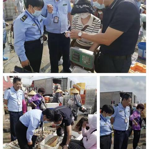 能力提升建设年—县市场监管局开展新村渔港码头计量违法行为专项整治工作