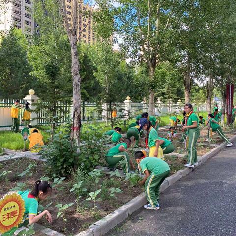 “会劳动 爱生活”—芳草小学七月劳动实践活动