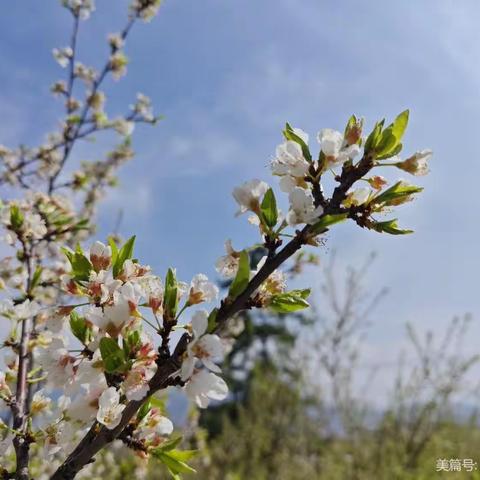 课程初探—六盘水市钟山区翰林康郡幼儿园】中二班—《走进春天》