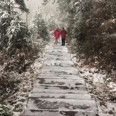 雪地野景