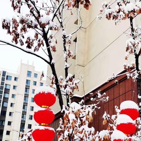 留住冬韵一一小区春雪景欣赏