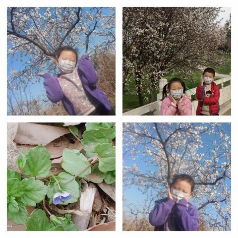 凉菜梁彩霞的美篇