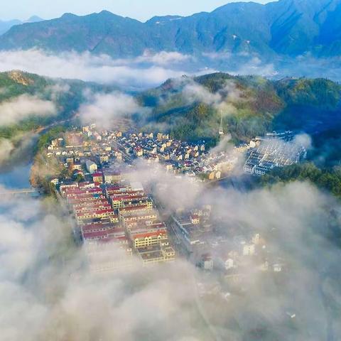 天元区栗雨街道人大代表团丽水行