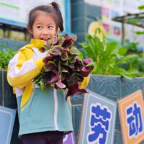 [创清廉学校 育担当少年]劳动周 劳动美——港北区木兰河小学开展劳动教育专题活动