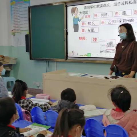 狠抓语文要素  提高课堂效率  ——桥头第四完全小学三、四年级教学展示研讨活动